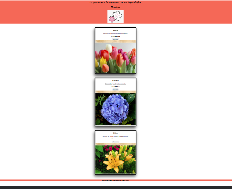 Proyecto 1